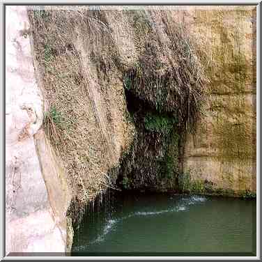 A pool of Ein Akev Tahton spring in Nahal Akev ...[7 words]... The Middle East, February 15, 2001