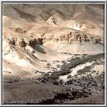 A canyon of a short tributary of Nahal Akev ...[6 words]... The Middle East, February 15, 2001