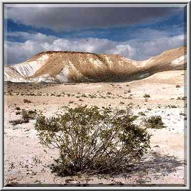 Desert plateau 2 miles south-east from Ben Gurion ...[4 words]... The Middle East, February 15, 2001