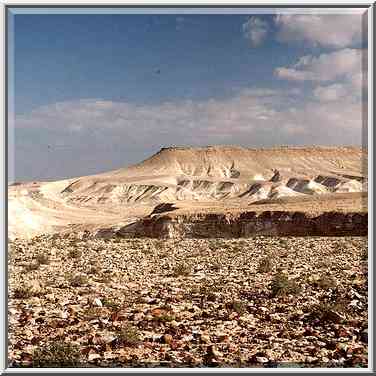 A desert plateau covered by flint stones (view to ...[11 words]... The Middle East, February 15, 2001