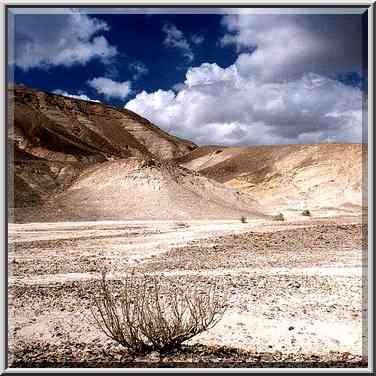 A desert plateau above Ein Bokek. The Middle East, February 22, 2001