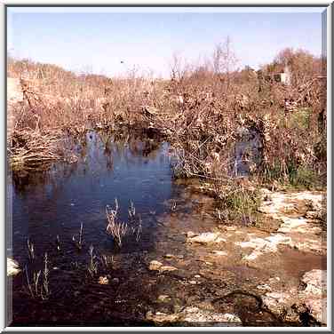 Remains of a bridge of a railroad from Beer-Sheva ...[13 words]... The Middle East, February 27, 2001