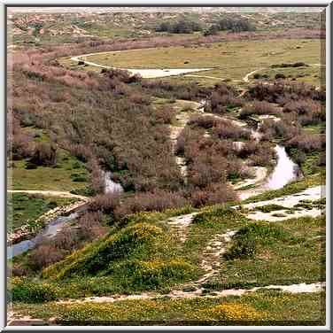 View of Nahal Besor River to the north from Tel ...[10 words]... The Middle East, February 27, 2001