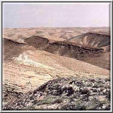 Typical hills near Yeroham, view from a mountain ...[4 words]... The Middle East, March 8, 2001