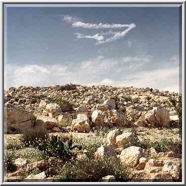 Ancient remains of Har Rahama Site on the crest ...[2 words]... ridge. The Middle East, March 8, 2001