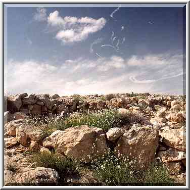 Ancient remains of Har Rahama Site on the crest ...[2 words]... ridge. The Middle East, March 8, 2001