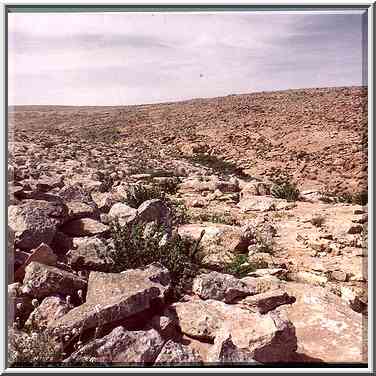 View of a mountain ridge behind Yeroham reservoir. The Middle East, March 8, 2001