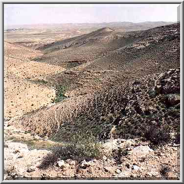 A tributary of Nahal Revivim descending from a ...[5 words]... The Middle East, March 8, 2001