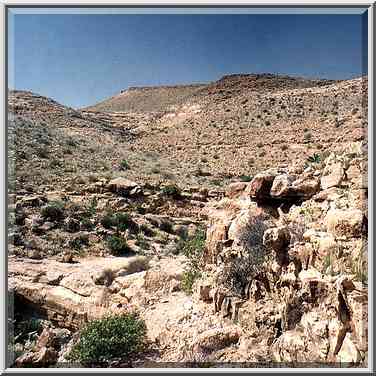 A tributary of Nahal Revivim descending from a ...[5 words]... The Middle East, March 8, 2001