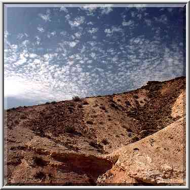 Negev Desert near Nahal Revivim behind Yeroham reservoir. The Middle East, March 8, 2001