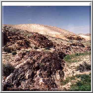 Nahal Revivim behind Yeroham reservoir. The Middle East, March 8, 2001