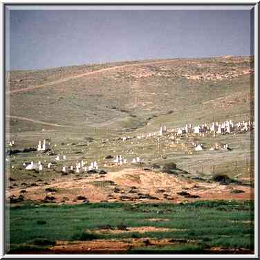 Moslem cemetery north-east from Dimona, view from Rd. 25. The Middle East, March 15, 2001