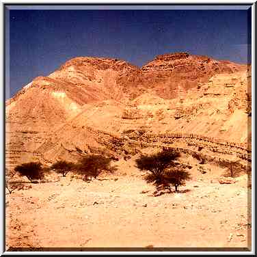 View from Arava Road. The Middle East, March 15, 2001