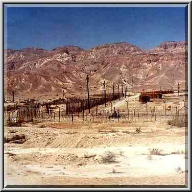 Kibbutz Qetura (behind five lines of barbed ...[4 words]... Rd. 90. The Middle East, March 15, 2001