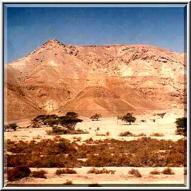 View from Arava Road near Qetura (?). The Middle East, March 15, 2001