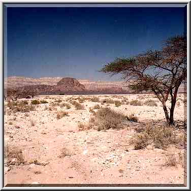 View to the north from entrance road to Timna ...[6 words]... The Middle East, March 15, 2001