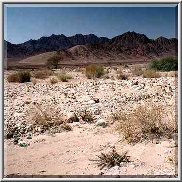 View of Timna Mountains to the south-west from ...[4 words]... Park. The Middle East, March 15, 2001