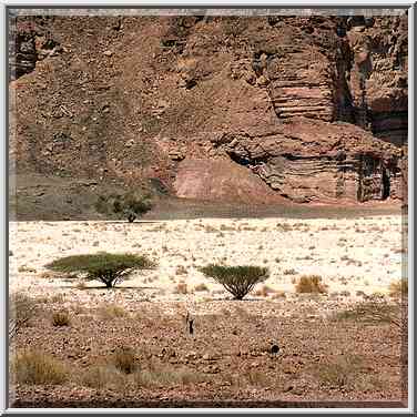 View of Timna Stream and Mt. Mikhrot to the north ...[4 words]... zoomed. The Middle East, March 15, 2001