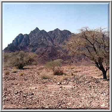 View along Timna Stream from Timna Park gate. The Middle East, March 15, 2001