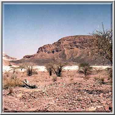 View of Sasgon Hill along Timna Stream north-east ...[3 words]... gate. The Middle East, March 15, 2001