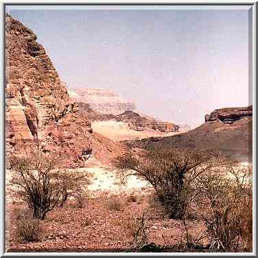 View of a pass between Mt. Mikhrot and Sasgon ...[8 words]... gate. The Middle East, March 15, 2001