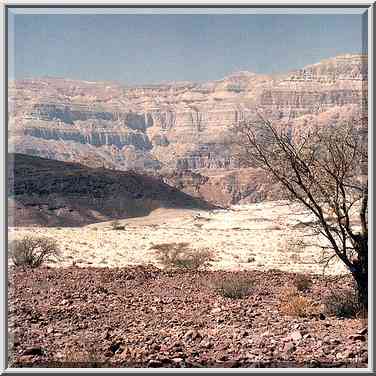 View of Timna Stream and Timna Cliffs north from ...[2 words]... gate. The Middle East, March 15, 2001