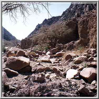 Alakhson creek in Timna Mountains. The Middle East, March 15, 2001