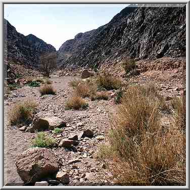 Geological Trail through Timna Mountains, near ...[2 words]... The Middle East, March 15, 2001