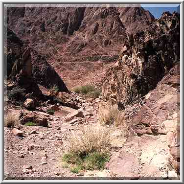 Alakhson creek on Geological Trail through Timna Mountains. The Middle East, March 15, 2001