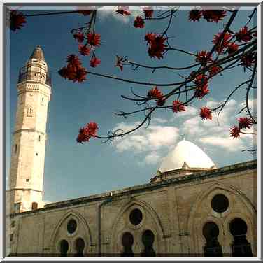 View of the large mosque from Gan Remez garden. Beer-Sheva, the Middle East, March 16, 2001