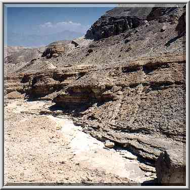 Southern tributary of Netafim River (?), 3 miles ...[2 words]... Eilat. The Middle East, March 22, 2001