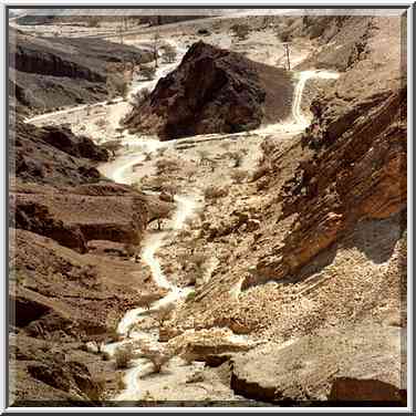 A jeep track approaching Mt. Shelomo from Maale ...[6 words]... Eilat. The Middle East, March 22, 2001