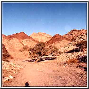 A road in Shahmon Mountains, 1.5 miles north from Eilat. The Middle East, March 22, 2001