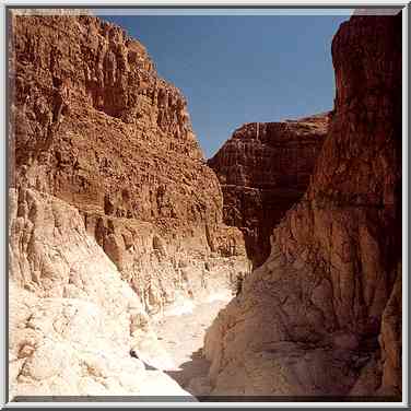 Middle part of the Dry Canyon in the upper Nahal ...[2 words]... Gedi, the Middle East, March 29, 2001