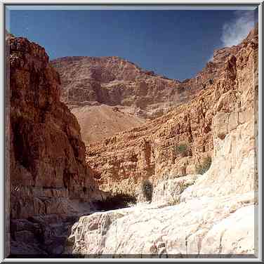 Near the beginning of the Dry Canyon in the upper ...[3 words]... Gedi, the Middle East, March 29, 2001