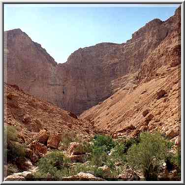 The upper Nahal David ending by a giant ...[2 words]... Gedi, the Middle East, March 29, 2001