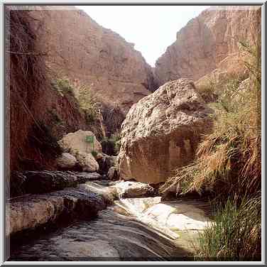 Near Dudaim Cave. Ein Gedi, the Middle East, March 29, 2001