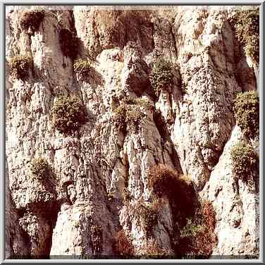 Cliffs above Shulamit Fall. Ein Gedi, the Middle East, March 29, 2001