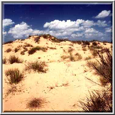 Dunes along a road north from Ashkelon. The Middle East, April 5, 2001