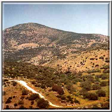 N. Ammo river in Galilee, view from Rd. 85. The Middle East, April 7, 2001