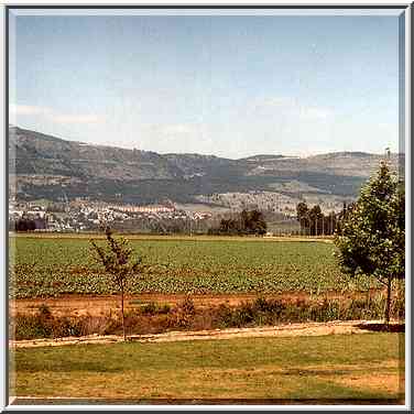 Qiryat Shemona in Galilee, view from Rd. 918. The Middle East, April 7, 2001