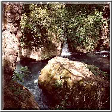 Near the Banias Falls on Hermon River in Banias ...[2 words]... Heights, the Middle East, April 7, 2001