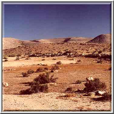 Negev Desert 2.5 miles north-east from Sde Boker at morning. The Middle East, April 9, 2001