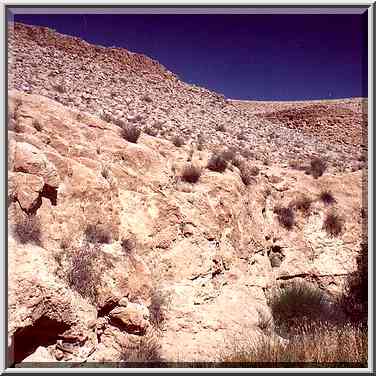 Upper Nahal Darokh river 5 miles east from Sde Boker. The Middle East, April 9, 2001