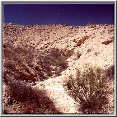 Upper Nahal Darokh river 5 miles east from Sde Boker. The Middle East, April 9, 2001