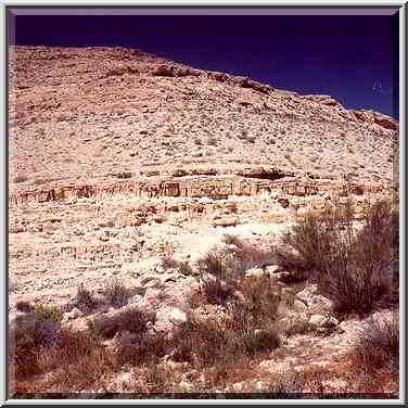 Nahal Darokh river 4.5 miles east from Sde Boker. The Middle East, April 9, 2001