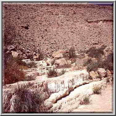 Nahal Darokh river 4.5 miles east from Sde Boker. The Middle East, April 9, 2001