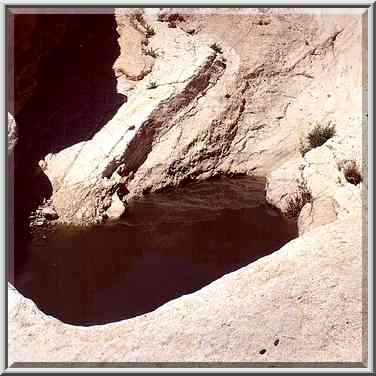 A big pool with mosquito larvae behind the second ...[10 words]... Boker. The Middle East, April 9, 2001