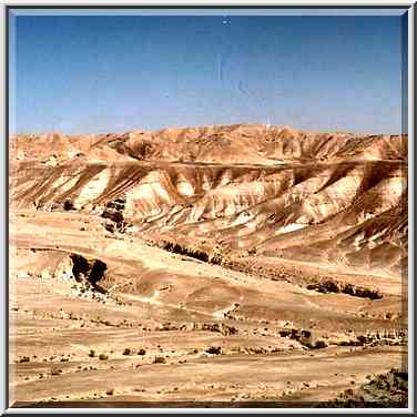 Nahal Bokek River in Judean Desert, view from ...[8 words]... Bokek. The Middle East, April 17, 2001