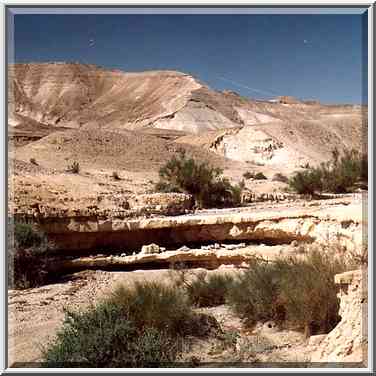 Shallow parts of Nahal Bokek River in Judean ...[6 words]... Bokek. The Middle East, April 17, 2001